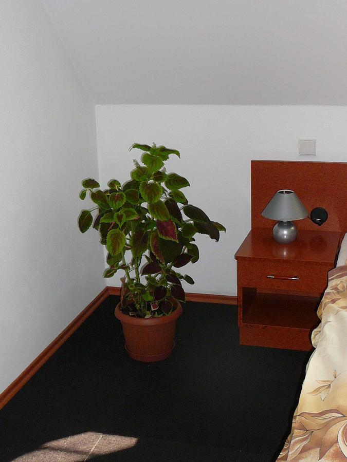 Penzion Praktik Krumlov Přísečná Cameră foto